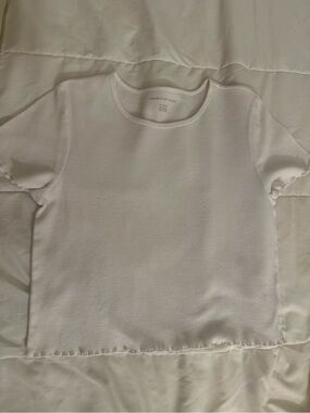 America Eagle Cropped Shirt